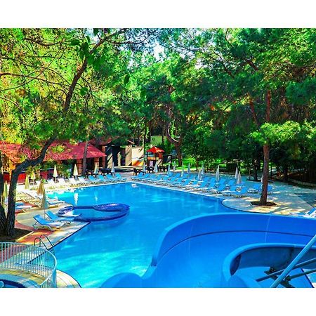 Festival Nature Hotel Kemer Extérieur photo