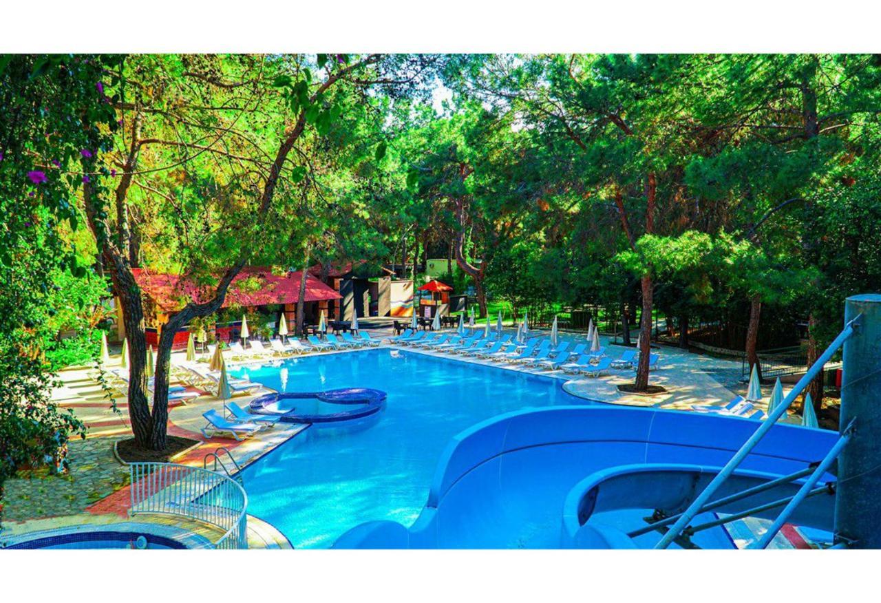 Festival Nature Hotel Kemer Extérieur photo