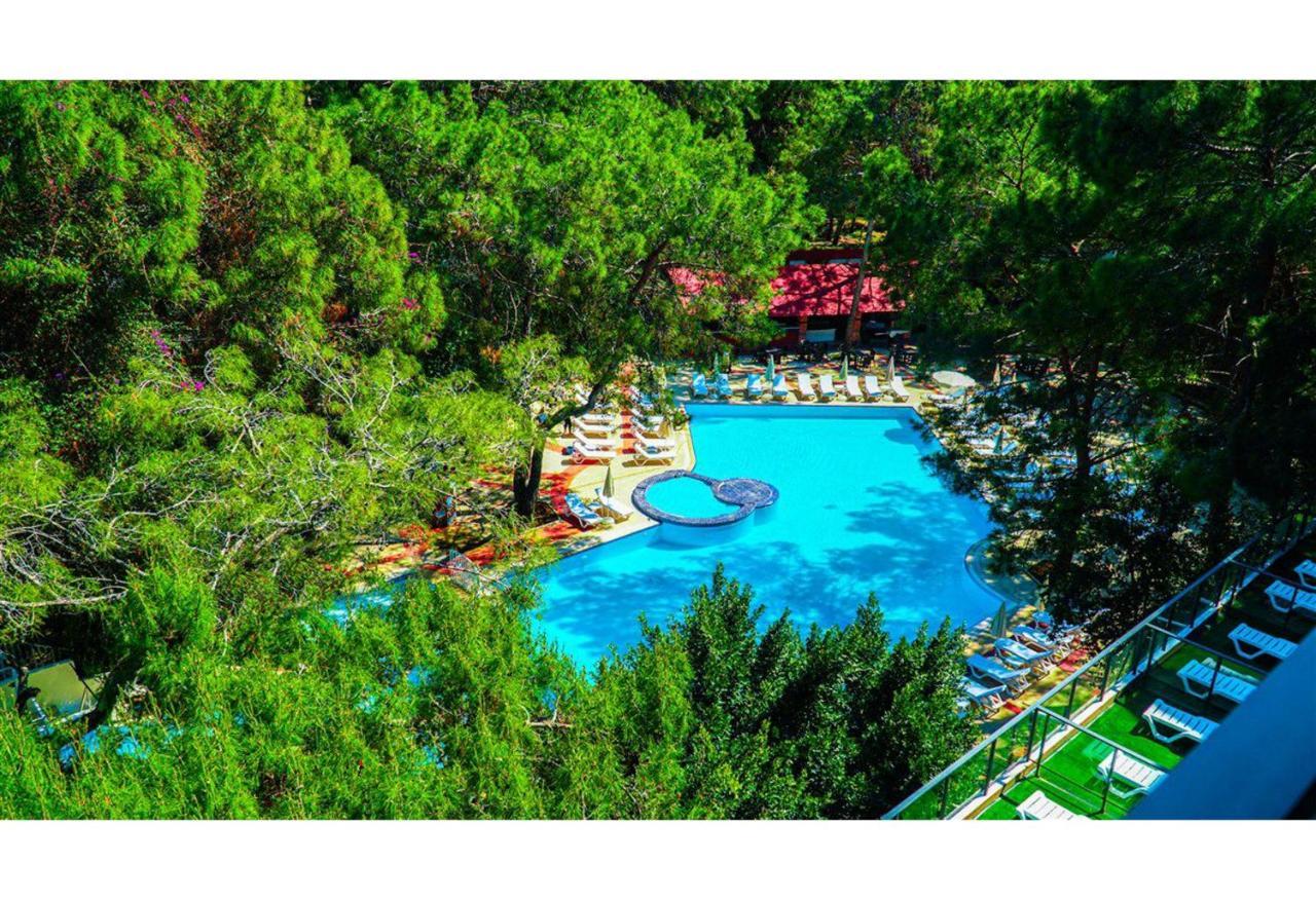 Festival Nature Hotel Kemer Extérieur photo