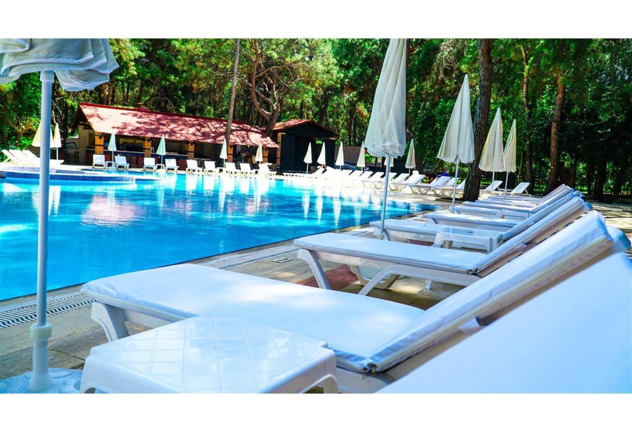Festival Nature Hotel Kemer Extérieur photo