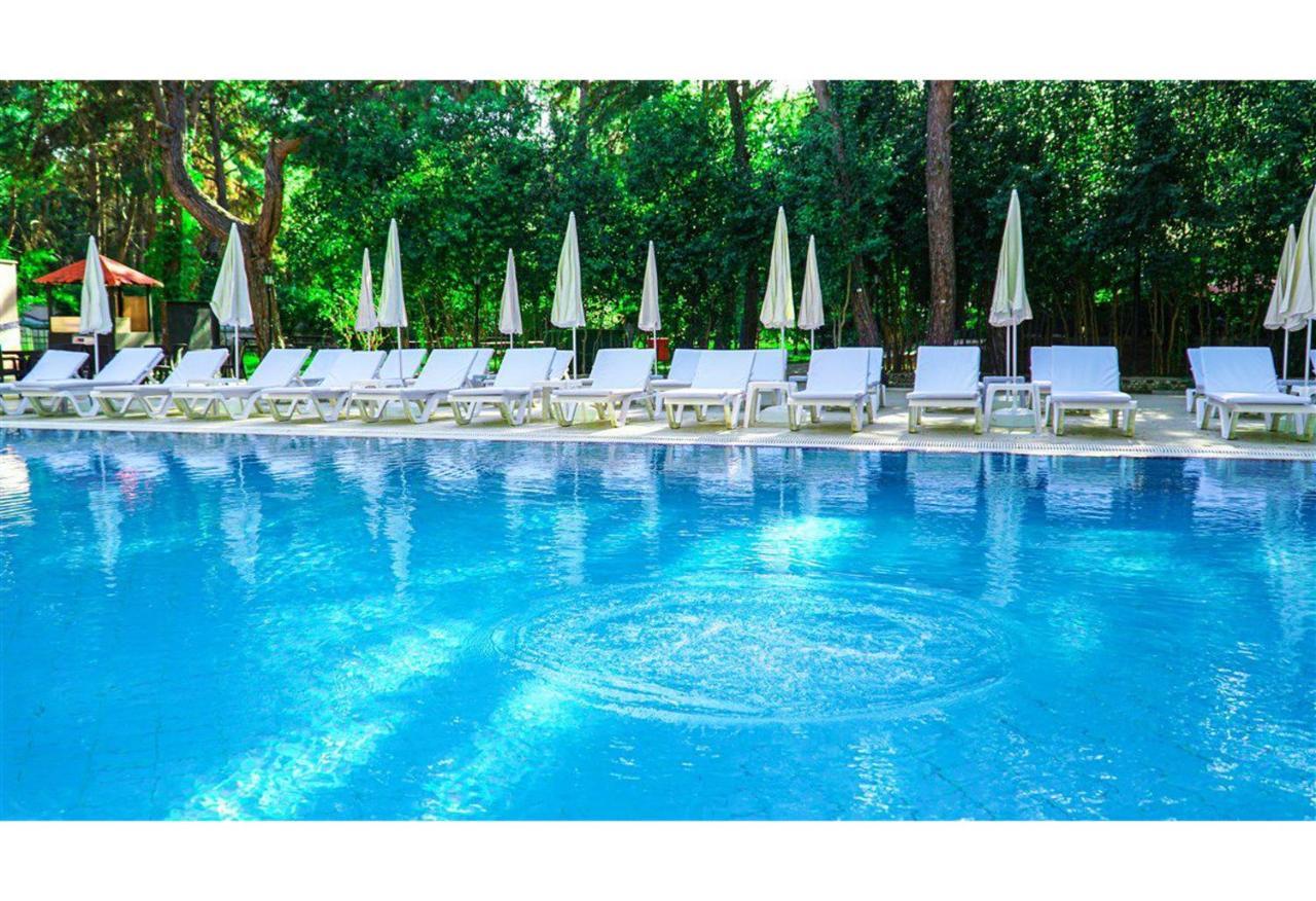 Festival Nature Hotel Kemer Extérieur photo